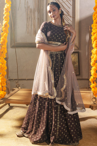 Brown Lehenga Set