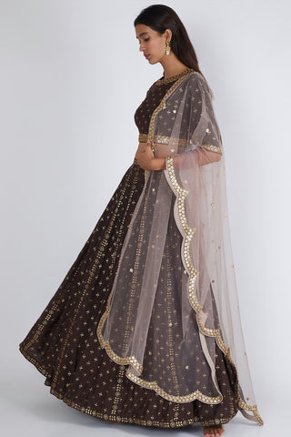 Brown Lehenga Set