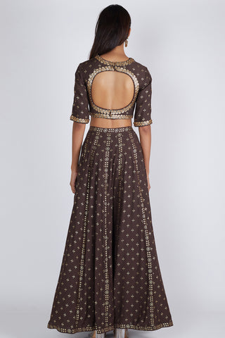 Brown Lehenga Set
