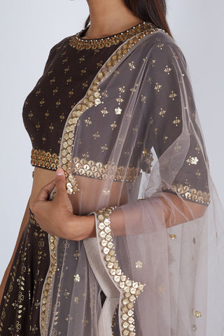 Brown Lehenga Set