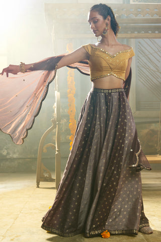 Brown & Yellow Kali Palazzo Set