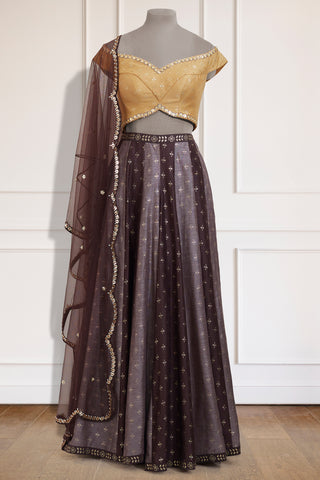 Brown & Yellow Kali Palazzo Set