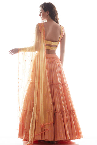 Peach Layer Lehenga Set