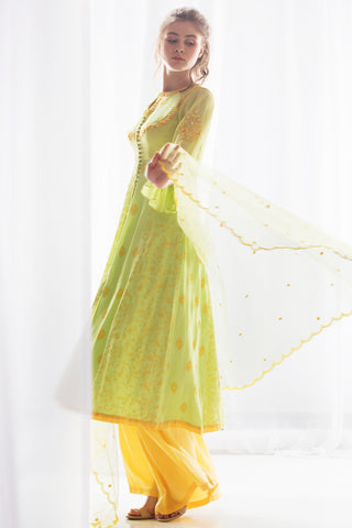 Pista Kurta Palazzo Set