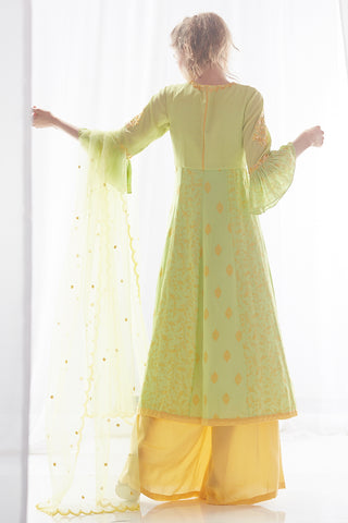 Pista Kurta Palazzo Set