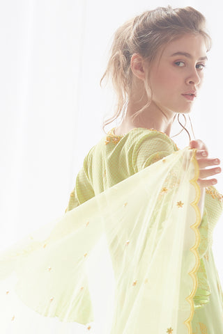 Pista Kurta Palazzo Set