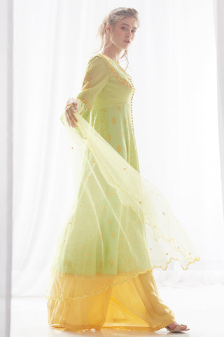 Pista Kurta Palazzo Set