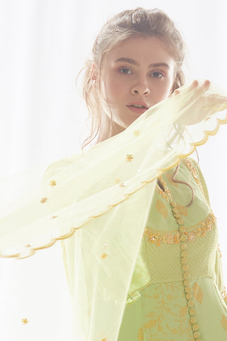 Pista Kurta Palazzo Set