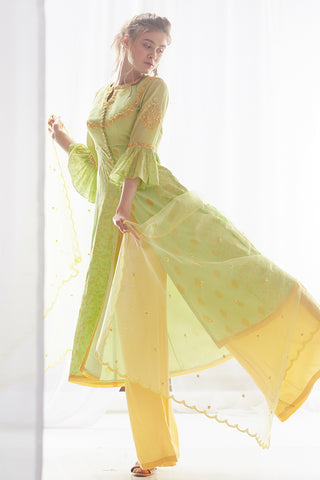 Pista Kurta Palazzo Set