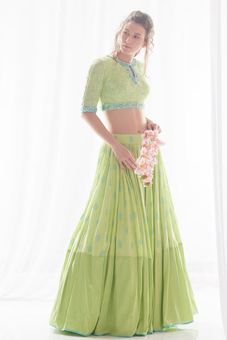 Pista Lehenga Set