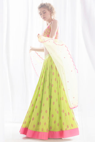 Pista & Pink Lehenga Set
