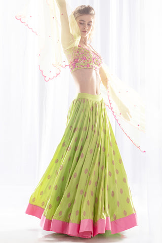 Pista & Pink Lehenga Set